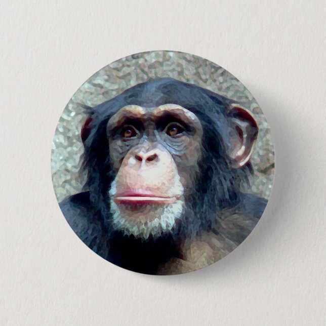 Chimpanzee Knapp (Framsida)