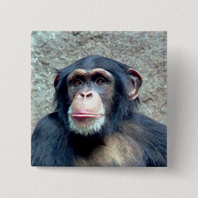 Chimpanzee Knapp (Framsida)