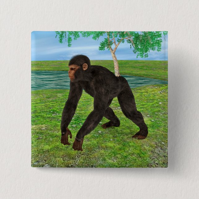 Chimpanzee Knapp (Framsida)