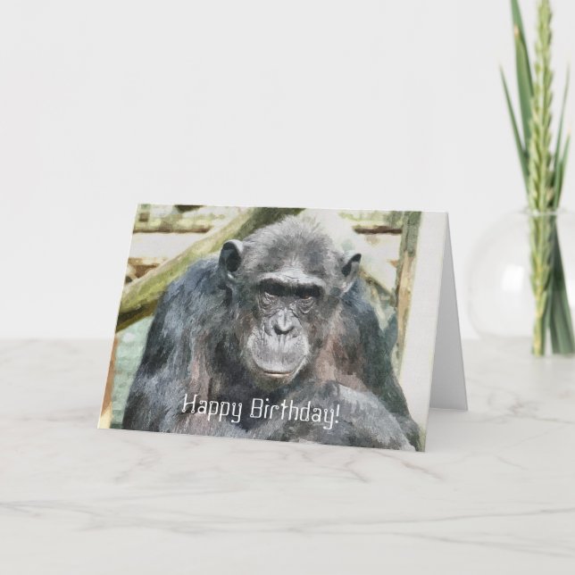 CHIMPANZEE KORT (Framsida)