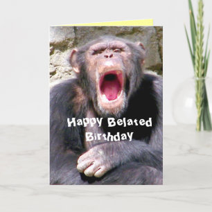 Chimpanzee_ Kort