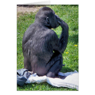 CHIMPANZEE-kort Hälsningskort