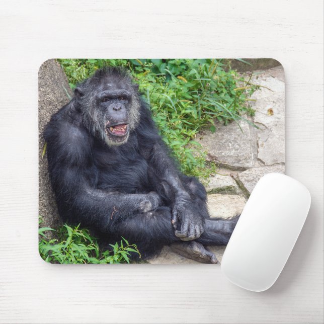 Chimpanzee Leening på Sten Musmatta (Med mus)