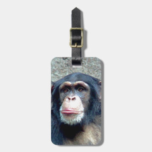 Chimpanzee Luggage Taggs Bagagebricka
