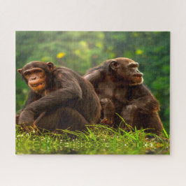 Chimpanzee Monkey. Pussel