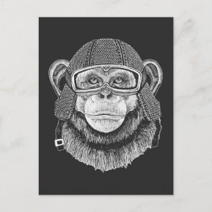 Chimpanzee Motorcycle Rider Vykort
