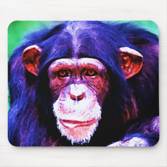Chimpanzee Musmatta (Framsidan)