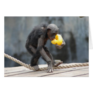 Chimpanzee och Rubbery Ducky OBS Kort