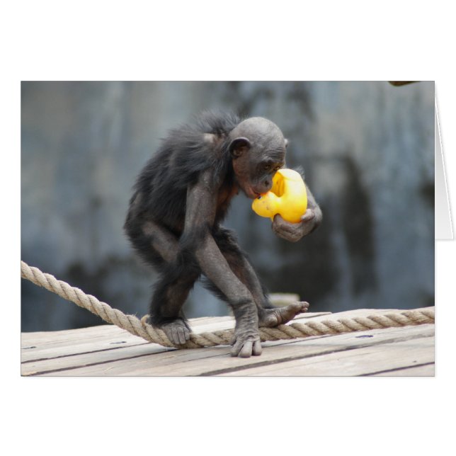 Chimpanzee och Rubbery Ducky OBS Kort (Framsidan Horizontal)