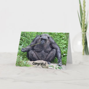 Chimpanzee Pension Humor Kort