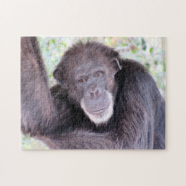 Chimpanzee Puzzle Pussel (Horisontell)