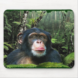 Chimpanzee Rainforest Conservation Mousepad Musmatta