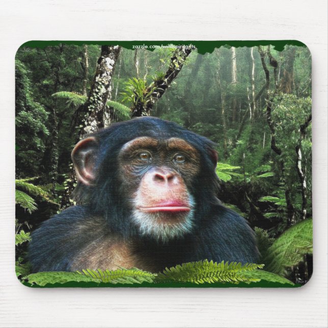 Chimpanzee Rainforest Conservation Mousepad Musmatta (Framsidan)