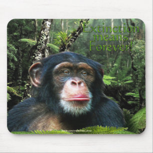 Chimpanzee & Rainforest Wildlife support Mousepad Musmatta