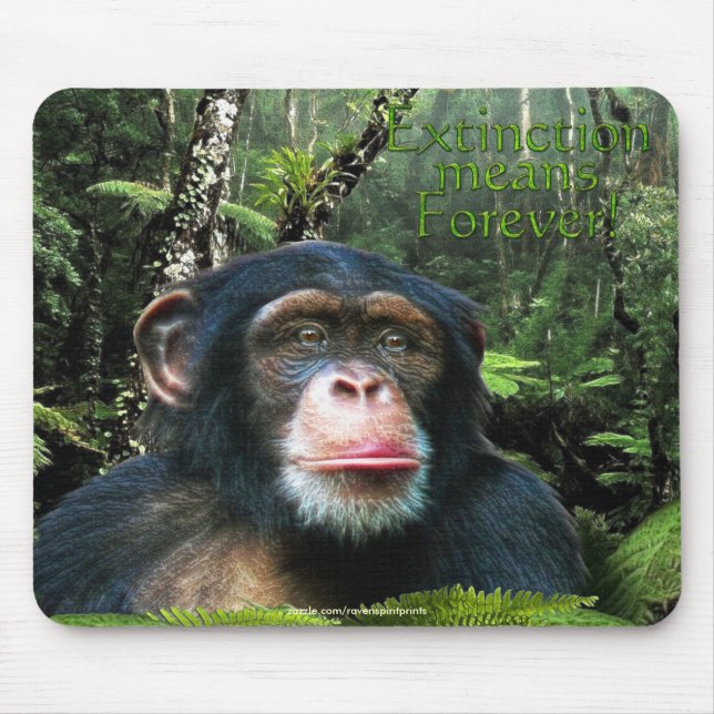Chimpanzee & Rainforest Wildlife support Mousepad Musmatta (Framsidan)