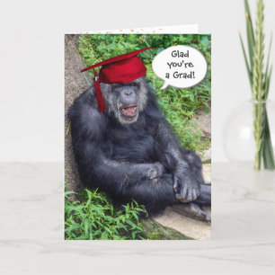 Chimpanzee Student med Red Cap Kort