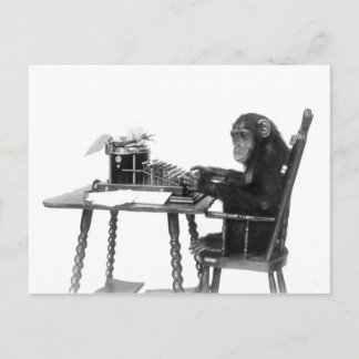 Chimpanzee-typning Vykort