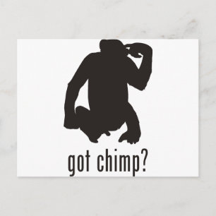Chimpanzee Vykort