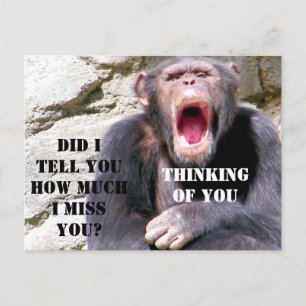 Chimpanzee_ Vykort