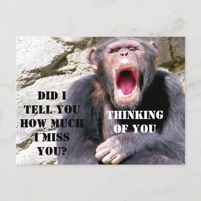 Chimpanzee_ Vykort (Framsida)