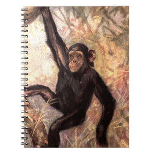chimpanzeehangingintree002_original anteckningsbok med spiral