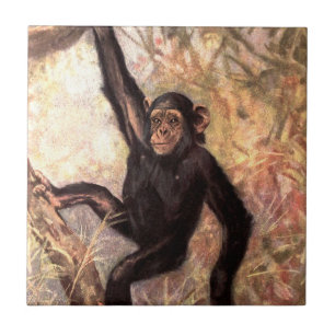 chimpanzeehangingintree002_original kakelplatta