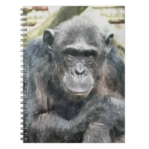 CHIMPANZEES ANTECKNINGSBOK MED SPIRAL