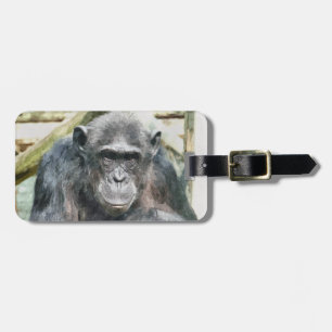 CHIMPANZEES BAGAGEBRICKA