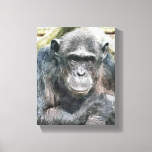 CHIMPANZEES CANVASTRYCK