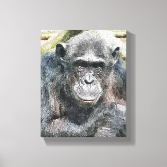 CHIMPANZEES CANVASTRYCK (Framsida)