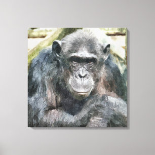 CHIMPANZEES CANVASTRYCK