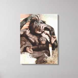 CHIMPANZEES CANVASTRYCK