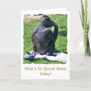 CHIMPANZEES KORT
