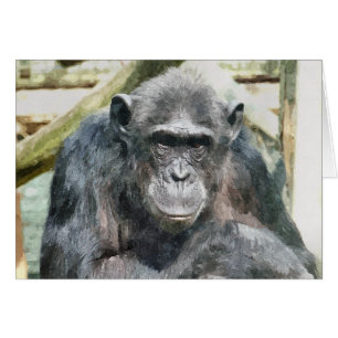 CHIMPANZEES-kort Hälsningskort