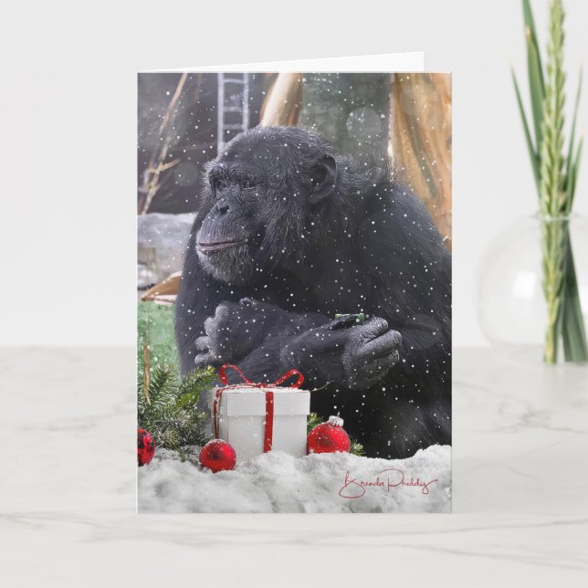 Chimpanzees med julglädjen! 5 x 7 tomt kort (Framsida)