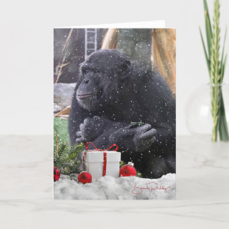 Chimpanzees med julglädjen! 5 x 7 tomt kort
