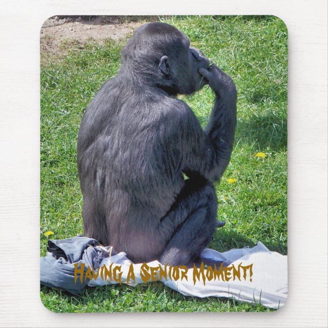 CHIMPANZEES MUSMATTA (Framsidan)