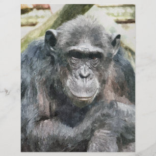 CHIMPANZEES REKLAMBLAD