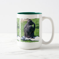 CHIMPANZEES