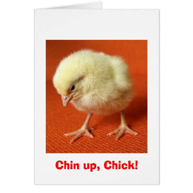 Chin, Chick! Hälsningskort (Framsidan)