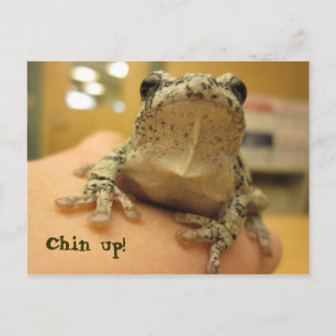 Chin! Vykort