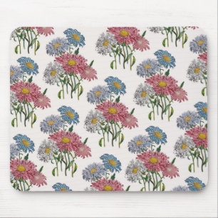 China Asters Musmatta