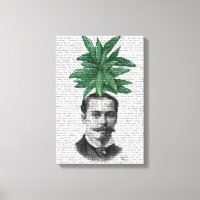 China Evergreen Head Plant Head