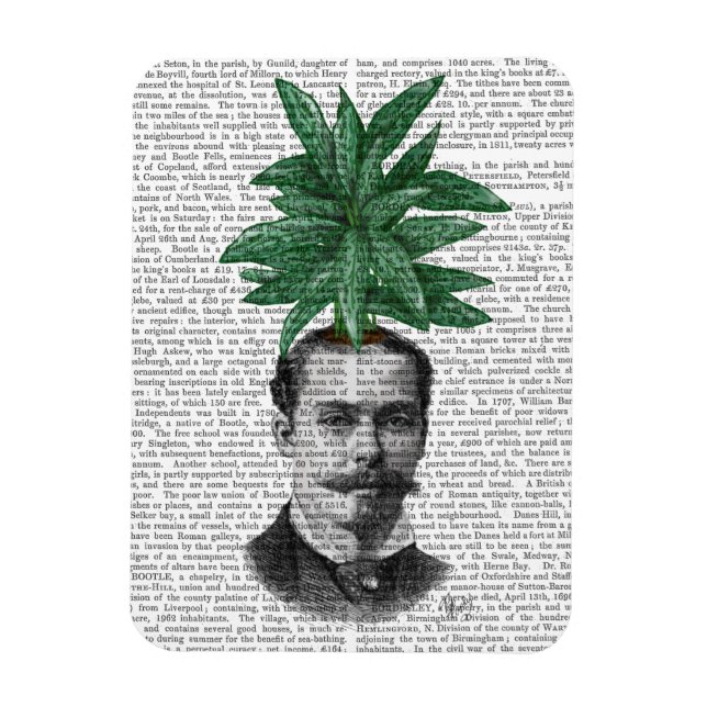 China Evergreen Head Plant Head Magnet (Vertikal)