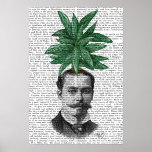 China Evergreen Head Plant Head Poster