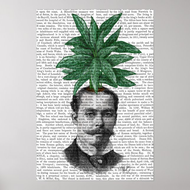 China Evergreen Head Plant Head Poster (Framsidan)