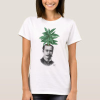 China Evergreen Head Plant Head