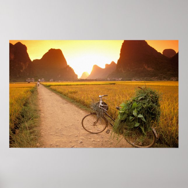 China, Guangxi. Yangzhou, Bicycle på land Poster (Framsidan)