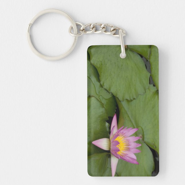 China, Hongkong, New Territories. Chi Lin (Framsidan)