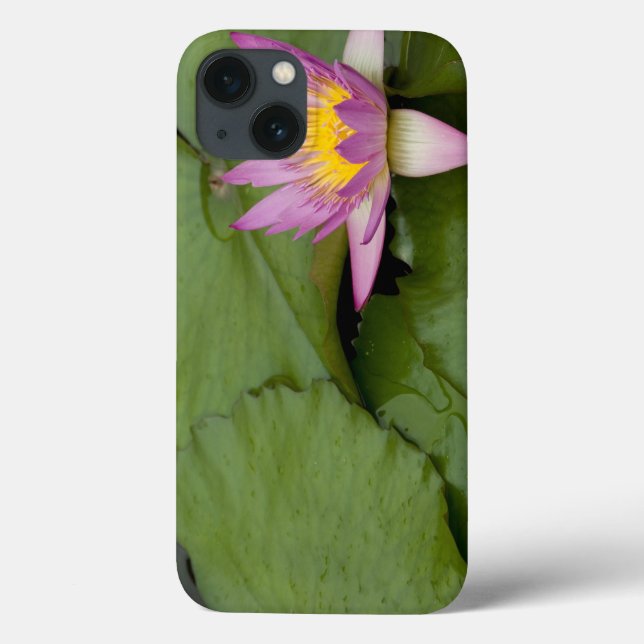 China, Hongkong, New Territories. Chi Lin (Baksida)